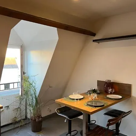 T3 Moderne En Hyper-centre Dans Batisse Xviie * Saumur